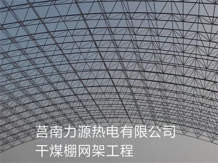 徐汇力源热电有限公司干煤棚网架工程
